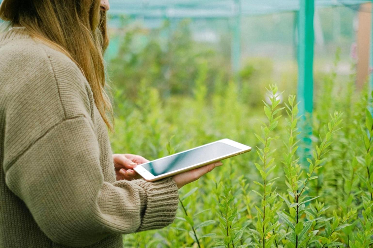 Digitale Lernumgebung mit Tablet und floristischen Arbeitsproben