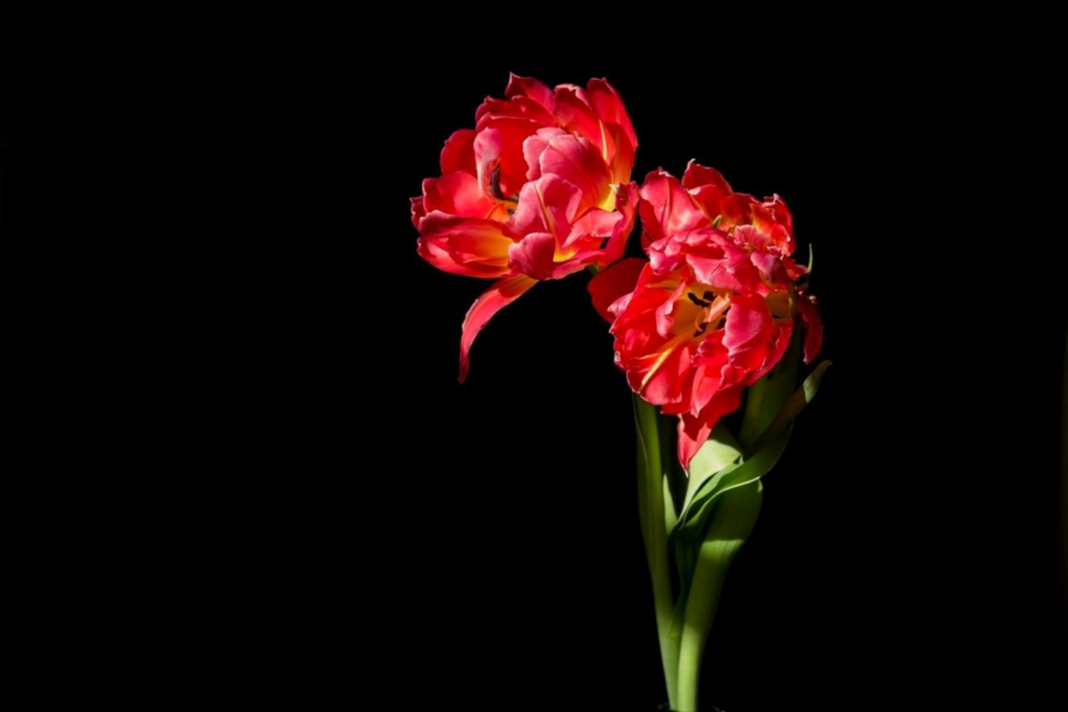 Praktische Kursarbeit in der Floristik-Werkstatt